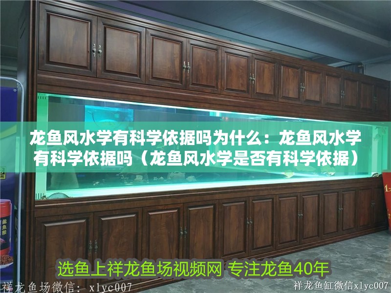 龍魚風水學有科學依據嗎為什么：龍魚風水學有科學依據嗎（龍魚風水學是否有科學依據）