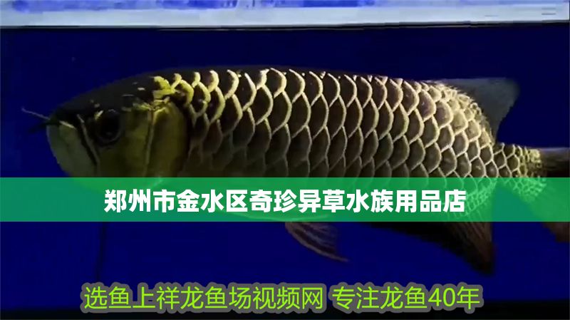 鄭州市金水區奇珍異草水族用品店