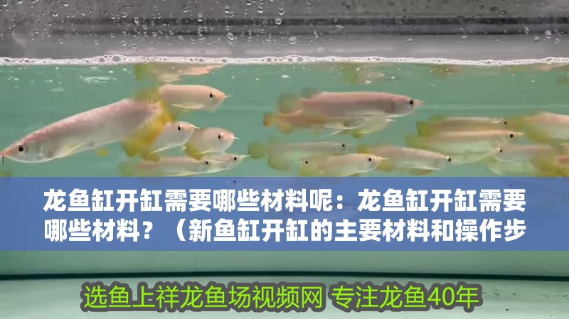 龍魚缸開缸需要哪些材料呢：龍魚缸開缸需要哪些材料？（新魚缸開缸的主要材料和操作步驟和操作方法都非常重要）