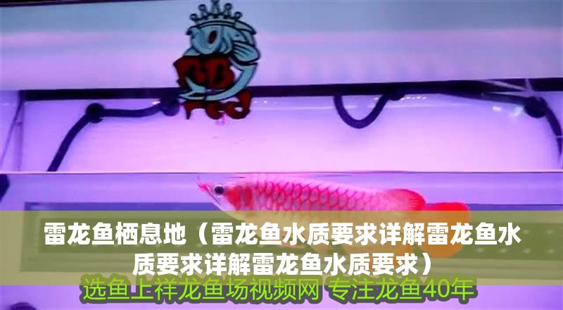 雷龍魚棲息地（雷龍魚水質(zhì)要求詳解雷龍魚水質(zhì)要求詳解雷龍魚水質(zhì)要求）