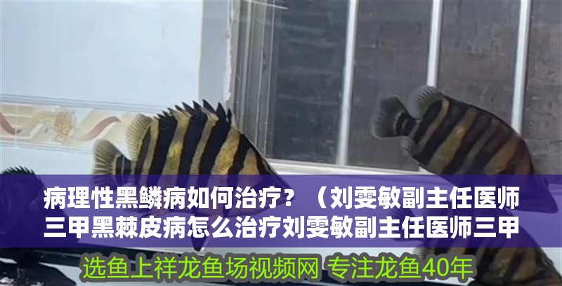 病理性黑鱗病如何治療？（劉雯敏副主任醫師三甲黑棘皮病怎么治療劉雯敏副主任醫師三甲黑斑病怎么治療） 病理性黑鱗病如何治療？（劉雯敏副主任醫師三甲黑棘皮病怎么治療劉雯敏副主任醫師三甲黑斑病怎么治療） 龍魚百科