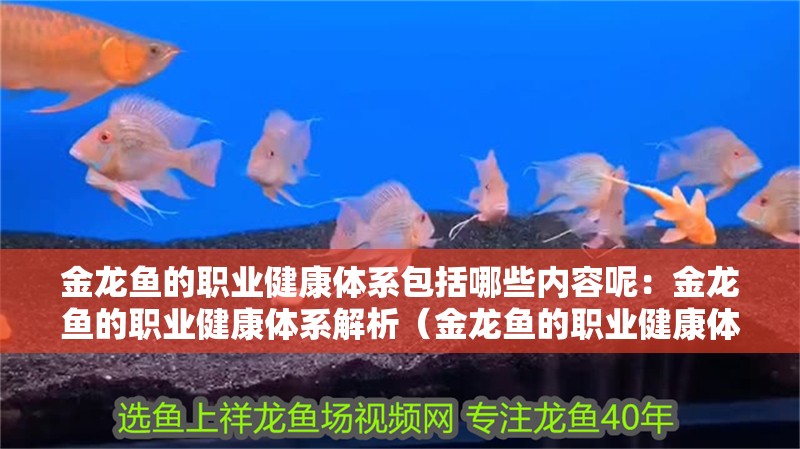 金龍魚的職業健康體系包括哪些內容呢：金龍魚的職業健康體系解析（金龍魚的職業健康體系）