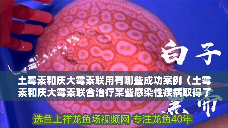 魚缸造景先放沙還是先放水(魚缸造景先鋪沙還是先放石頭) 土霉素和慶大霉素聯(lián)用有哪些成功案例(土霉素和慶大霉素聯(lián)合治療某些感染性疾病取得了顯著的療效) 龍魚百科 土霉素和慶大霉素聯(lián)用有哪些成功案例(土霉素和慶大霉素聯(lián)合治療某些感染性疾病取得了顯著的療效) 土霉素和慶大霉素聯(lián)用有哪些成功案例(土霉素和慶大霉素聯(lián)合治療某些感染性疾病取得了顯著的療效) 龍魚百科