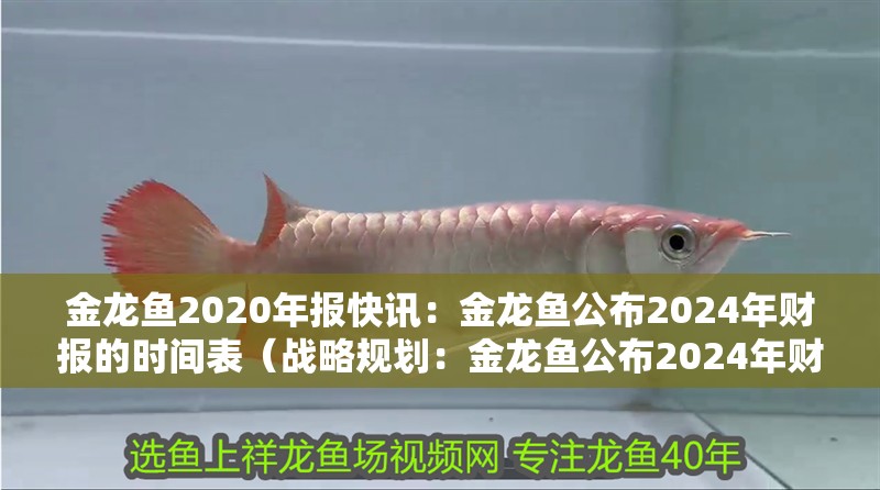 金龍魚(yú)2020年報(bào)快訊：金龍魚(yú)公布2024年財(cái)報(bào)的時(shí)間表（戰(zhàn)略規(guī)劃：金龍魚(yú)公布2024年財(cái)報(bào)的時(shí)間表）