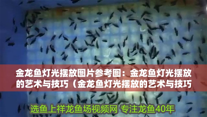 金龍魚燈光擺放圖片參考圖：金龍魚燈光擺放的藝術與技巧（金龍魚燈光擺放的藝術與技巧，）