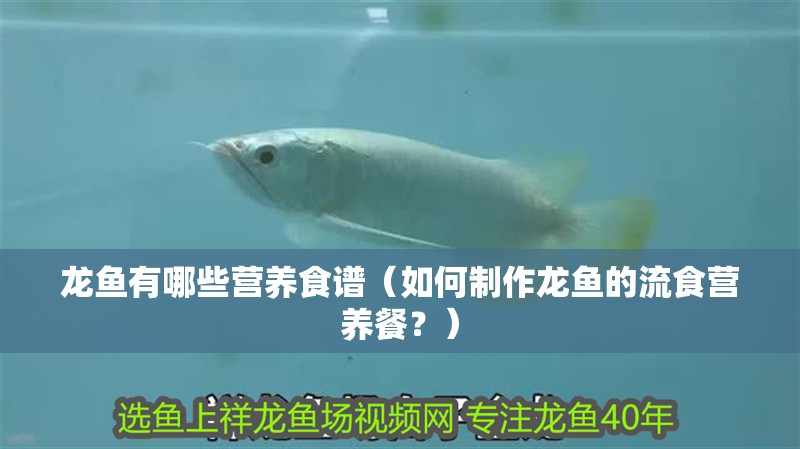 龍魚有哪些營養食譜（如何制作龍魚的流食營養餐？）