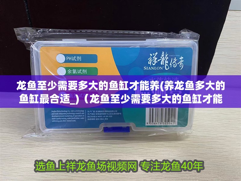 龍魚至少需要多大的魚缸才能養(養龍魚多大的魚缸最合適_)（龍魚至少需要多大的魚缸才能養）
