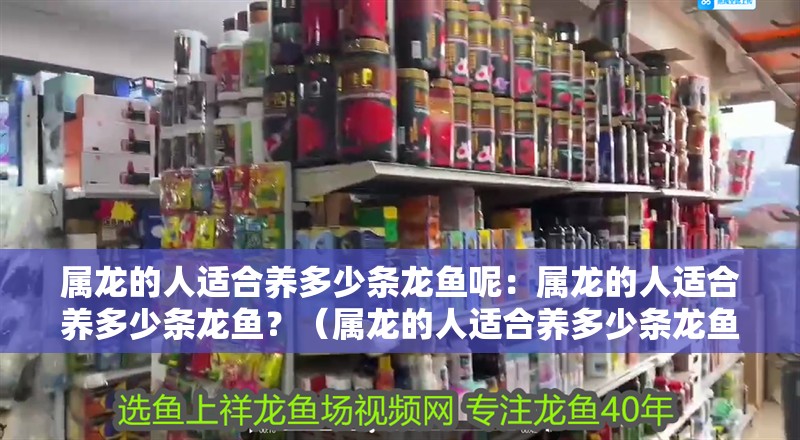 屬龍的人適合養(yǎng)多少條龍魚呢：屬龍的人適合養(yǎng)多少條龍魚？（屬龍的人適合養(yǎng)多少條龍魚，屬龍的人適合養(yǎng)多少龍魚）