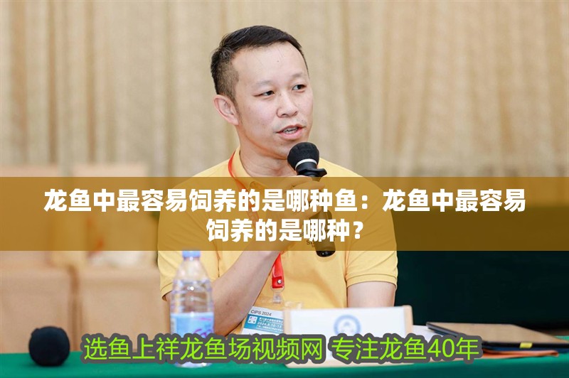 龍魚中最容易飼養的是哪種魚：龍魚中最容易飼養的是哪種？