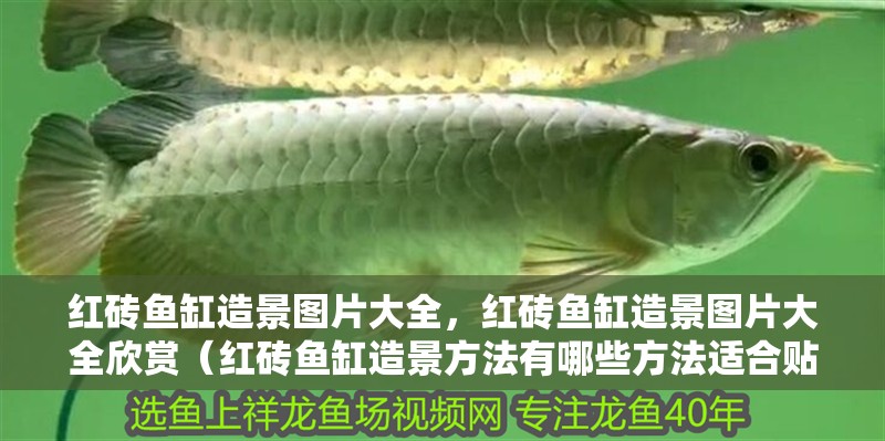 紅磚魚缸造景圖片大全，紅磚魚缸造景圖片大全欣賞（紅磚魚缸造景方法有哪些方法適合貼壁式造景魚缸造景） 紅磚魚缸造景圖片大全，紅磚魚缸造景圖片大全欣賞（紅磚魚缸造景方法有哪些方法適合貼壁式造景魚缸造景） 觀賞魚百科