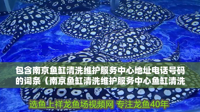 包含南京魚缸清洗維護服務(wù)中心地址電話號碼的詞條（南京魚缸清洗維護服務(wù)中心魚缸清洗維護服務(wù)中心電話） 包含南京魚缸清洗維護服務(wù)中心地址電話號碼的詞條（南京魚缸清洗維護服務(wù)中心魚缸清洗維護服務(wù)中心電話） 觀賞魚百科