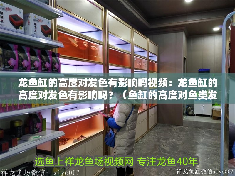 龍魚缸的高度對發色有影響嗎視頻：龍魚缸的高度對發色有影響嗎？（魚缸的高度對魚類發色有影響嗎？）