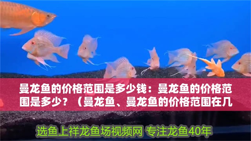 曼龍魚的價格范圍是多少錢：曼龍魚的價格范圍是多少？（曼龍魚、曼龍魚的價格范圍在幾十元到幾百元人民幣不等）