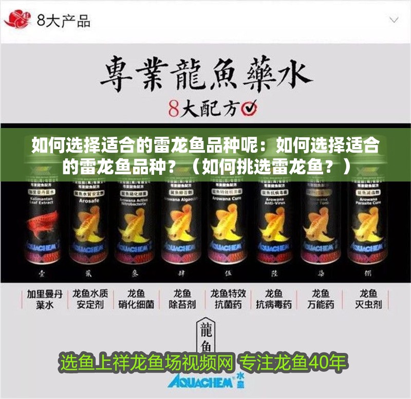 如何選擇適合的雷龍魚品種呢：如何選擇適合的雷龍魚品種？（如何挑選雷龍魚？） 如何選擇適合的雷龍魚品種呢：如何選擇適合的雷龍魚品種？（如何挑選雷龍魚？） 水族問答
