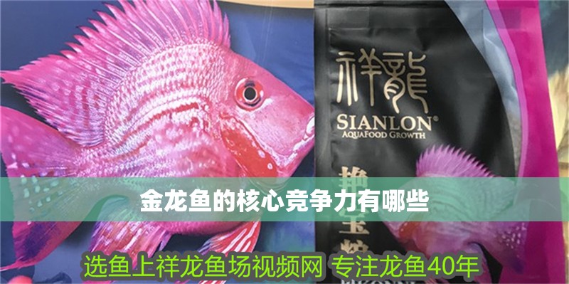 金龍魚的核心競爭力有哪些