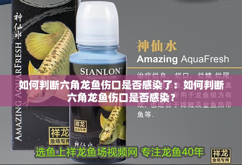 如何判斷六角龍魚傷口是否感染了：如何判斷六角龍魚傷口是否感染？