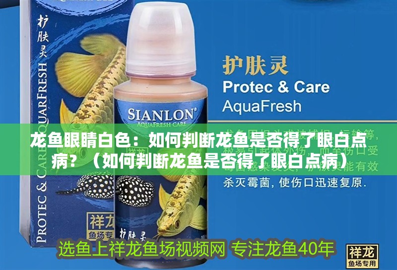 龍魚眼睛白色：如何判斷龍魚是否得了眼白點病？（如何判斷龍魚是否得了眼白點病）