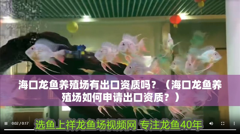 <strong><mark>海口</mark></strong>龍魚養殖場有出口資質嗎？（<strong><mark>海口</mark></strong>龍魚養殖場如何申請出口資質？）