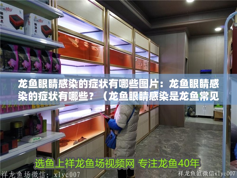 龍魚眼睛感染的癥狀有哪些圖片：龍魚眼睛感染的癥狀有哪些？（龍魚眼睛感染是龍魚常見的健康問題之一，龍魚眼睛感染的癥狀）