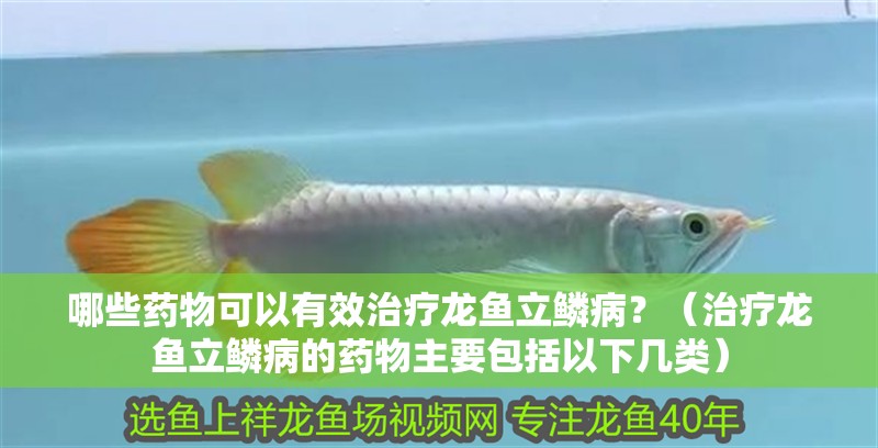 哪些藥物可以有效治療龍魚立鱗病？（治療龍魚立鱗病的藥物主要包括以下幾類）