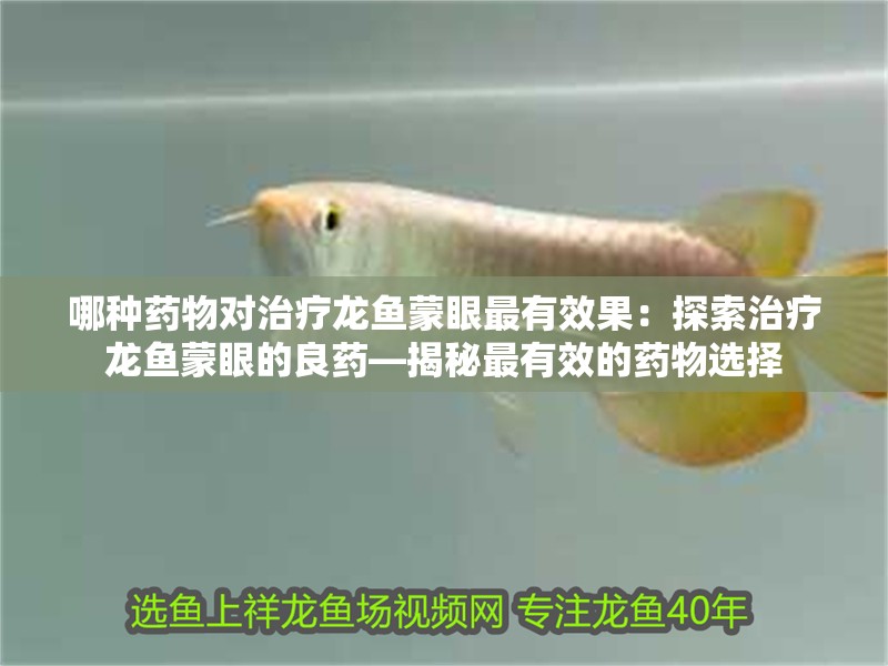 哪種藥物對治療龍魚蒙眼最有效果：探索治療龍魚蒙眼的良藥—揭秘最有效的藥物選擇