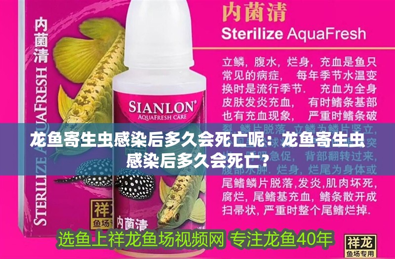 龍魚寄生蟲感染后多久會死亡呢：龍魚寄生蟲感染后多久會死亡？