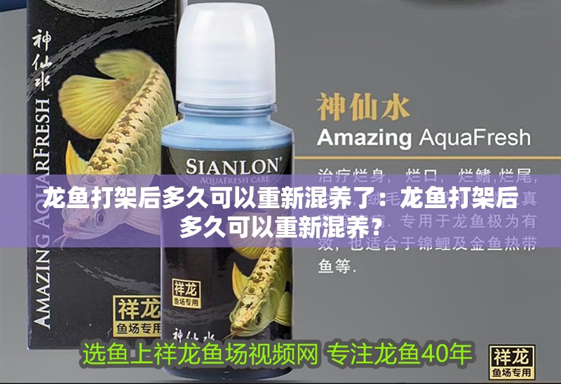 龍魚打架后多久可以重新混養(yǎng)了：龍魚打架后多久可以重新混養(yǎng)？