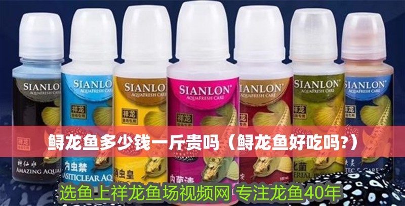 鱘龍魚多少錢一斤貴嗎（鱘龍魚好吃嗎?）