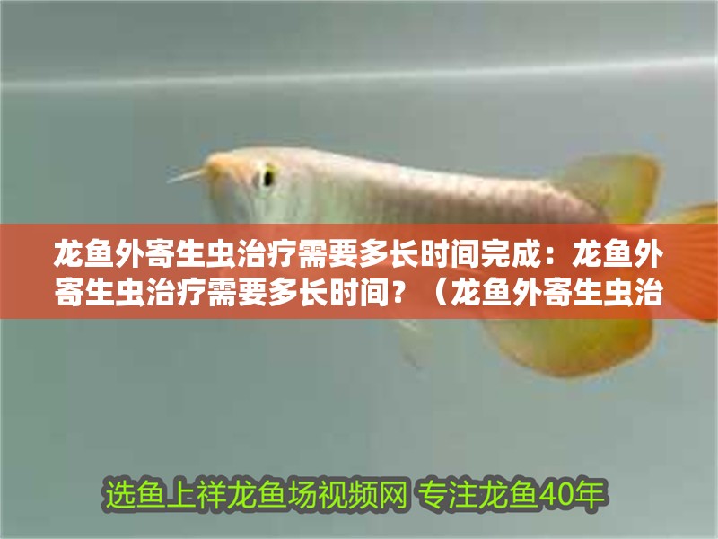龍魚外寄生蟲治療需要多長時間完成：龍魚外寄生蟲治療需要多長時間？（龍魚外寄生蟲治療的時長取決于多種因素）