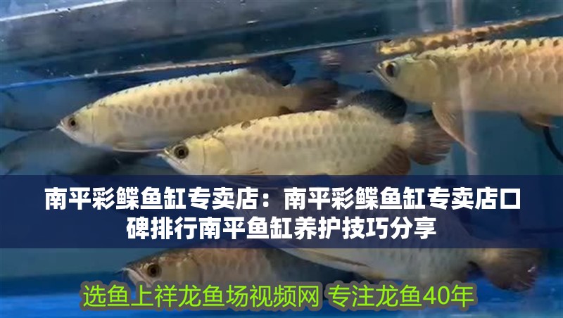 南平彩鰈魚缸專賣店：南平彩鰈魚缸專賣店口碑排行南平魚缸養(yǎng)護(hù)技巧分享 南平彩鰈魚缸專賣店：南平彩鰈魚缸專賣店口碑排行南平魚缸養(yǎng)護(hù)技巧分享 觀賞魚百科