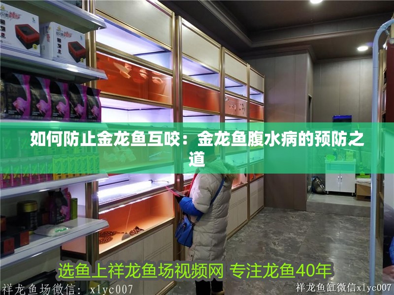 如何防止金龍魚互咬：金龍魚腹水病的預防之道