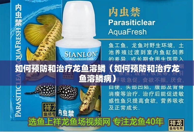 魚缸過濾器選購指南:自制魚缸過濾器魚缸上置過濾器對于養(yǎng)魚愛好者的必備知識 如何預防和治療龍魚溶鱗(如何預防和治療龍魚溶鱗病) 龍魚百科 如何預防和治療龍魚溶鱗(如何預防和治療龍魚溶鱗病) 如何預防和治療龍魚溶鱗(如何預防和治療龍魚溶鱗病) 龍魚百科