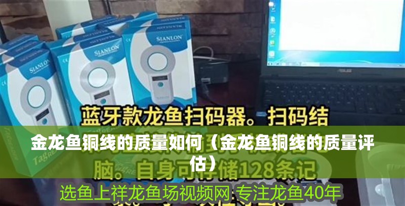 金龍魚銅線的質量如何（金龍魚銅線的質量評估）