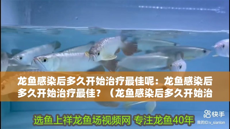 龍魚感染后多久開始治療最佳呢：龍魚感染后多久開始治療最佳？（龍魚感染后多久開始治療）