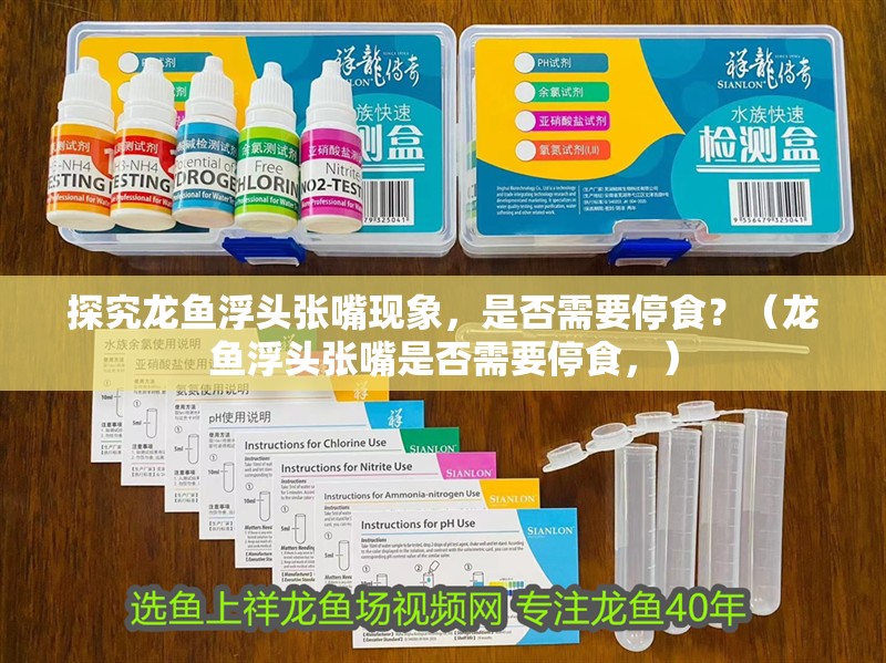 探究龍魚浮頭張嘴現象，是否需要停食？（龍魚浮頭張嘴是否需要停食，）