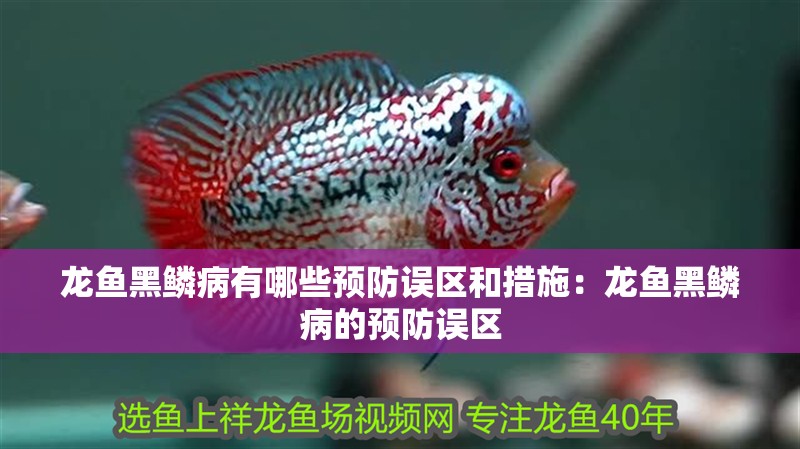 龍魚黑鱗病有哪些預防誤區(qū)和措施：龍魚黑鱗病的預防誤區(qū) 龍魚黑鱗病有哪些預防誤區(qū)和措施：龍魚黑鱗病的預防誤區(qū) 水族問答
