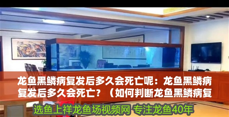 龍魚黑鱗病復發后多久會死亡呢：龍魚黑鱗病復發后多久會死亡？（如何判斷龍魚黑鱗病復發）
