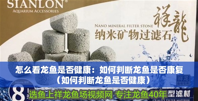 怎么看龍魚是否健康：如何判斷龍魚是否康復(fù)（如何判斷龍魚是否健康）