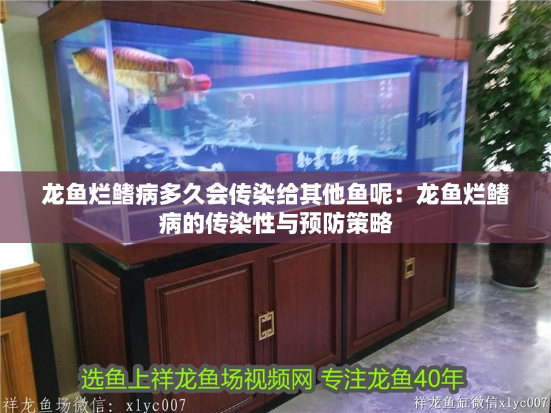 龍魚爛鰭病多久會傳染給其他魚呢：龍魚爛鰭病的傳染性與預防策略