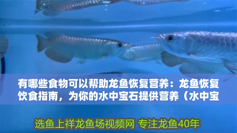 有哪些食物可以幫助龍魚恢復(fù)營養(yǎng)：龍魚恢復(fù)飲食指南，為你的水中寶石提供營養(yǎng)（水中寶石提供營養(yǎng)的飲食指南：**均衡飲食指南）