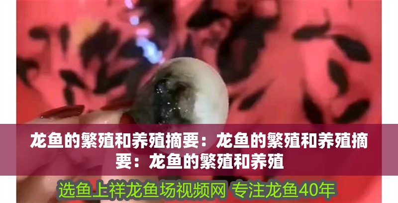 龍魚的繁殖和養殖摘要：龍魚的繁殖和養殖摘要：龍魚的繁殖和養殖