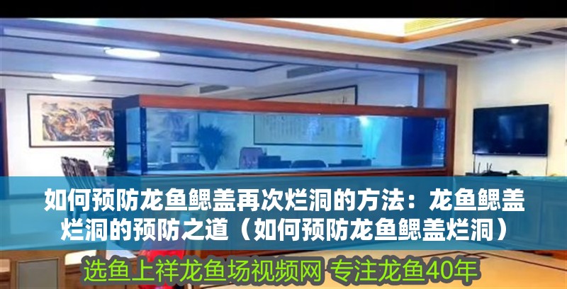 如何預防龍魚鰓蓋再次爛洞的方法：龍魚鰓蓋爛洞的預防之道（如何預防龍魚鰓蓋爛洞）