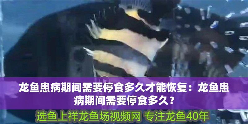 給大魚缸換水的作文:體驗給大魚缸換水的樂趣:體驗給大魚缸換水:給大魚缸換水的作文 龍魚患病期間需要停食多久才能恢復:龍魚患病期間需要停食多久? 水族問答 龍魚患病期間需要停食多久才能恢復:龍魚患病期間需要停食多久? 龍魚患病期間需要停食多久才能恢復:龍魚患病期間需要停食多久? 水族問答