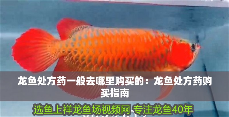 龍魚處方藥一般去哪里購買的：龍魚處方藥購買指南