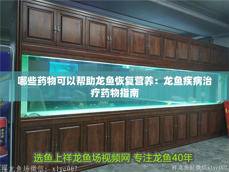 哪些藥物可以幫助龍魚恢復(fù)營養(yǎng)：龍魚疾病治療藥物指南