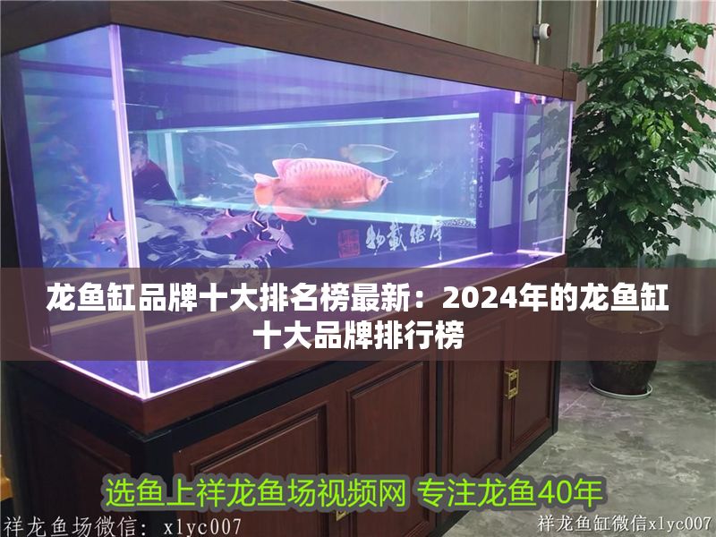 龍魚缸品牌十大排名榜最新：2024年的龍魚缸十大品牌排行榜