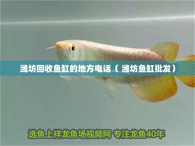 濰坊回收魚缸的地方電話（ 濰坊魚缸批發(fā)）
