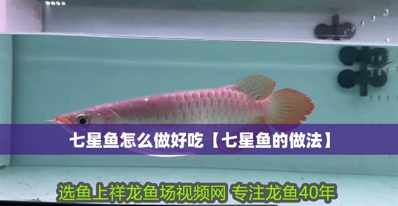 七星魚(yú)怎么做好吃【七星魚(yú)的做法】