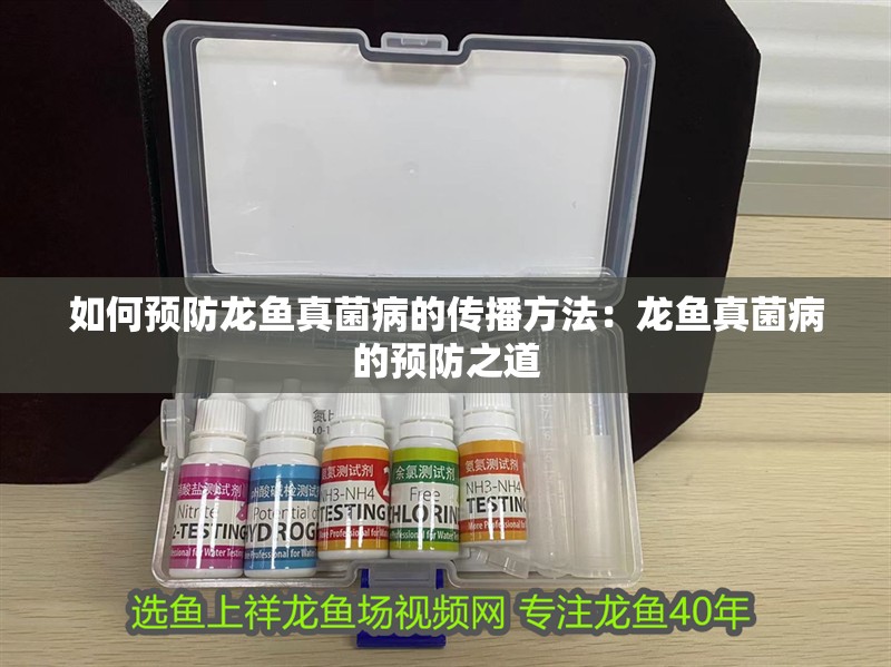 如何預防龍魚真菌病的傳播方法：龍魚真菌病的預防之道