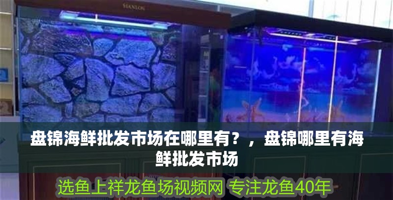 鸚鵡魚和銀龍魚混養怎樣喂食 盤錦海鮮批發市場在哪里有?,盤錦哪里有海鮮批發市場 觀賞魚百科 盤錦海鮮批發市場在哪里有?,盤錦哪里有海鮮批發市場 盤錦海鮮批發市場在哪里有?,盤錦哪里有海鮮批發市場 觀賞魚百科